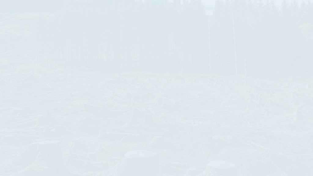 NEC4 TSC Payment Application and Certificate Template