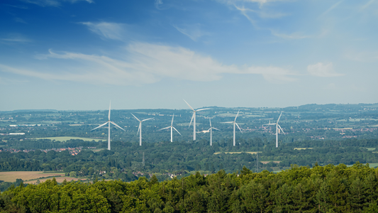 Biodiversity Net Gain: Many years in the making but now a New Year 2024 resolution by Carolyn Lord