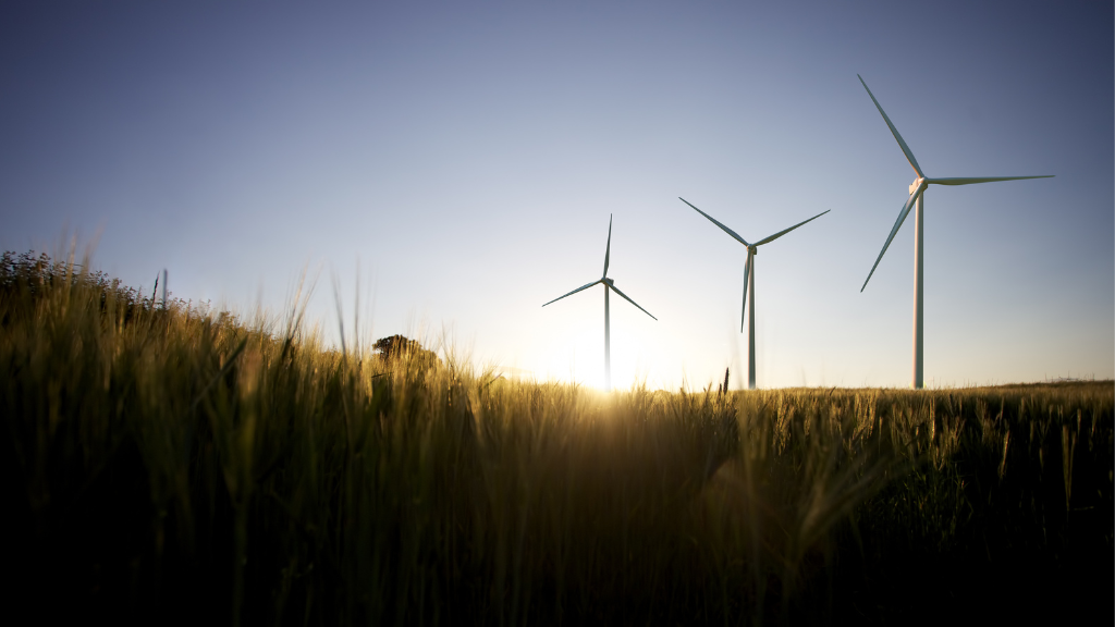 What Whole Life Carbon Assessment Targets are there in the UK? By Darren Evans