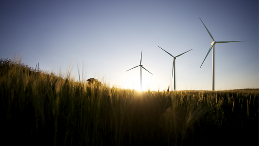 What Whole Life Carbon Assessment Targets are there in the UK? By Darren Evans