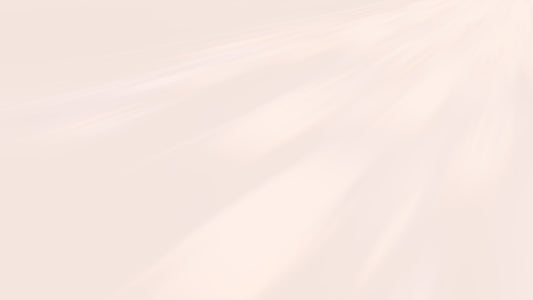 Development of the Transmission Grid