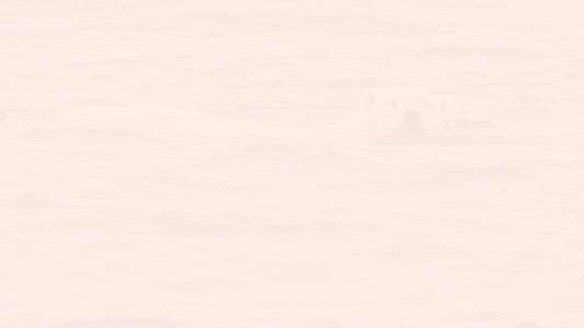 Venture Capital in a Changing UK: Budget, Tax & Policy Insights