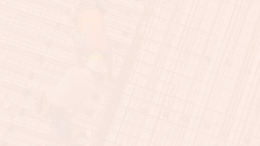 £2 billion Provisional Budget for Fast-track Transmission Investment Project