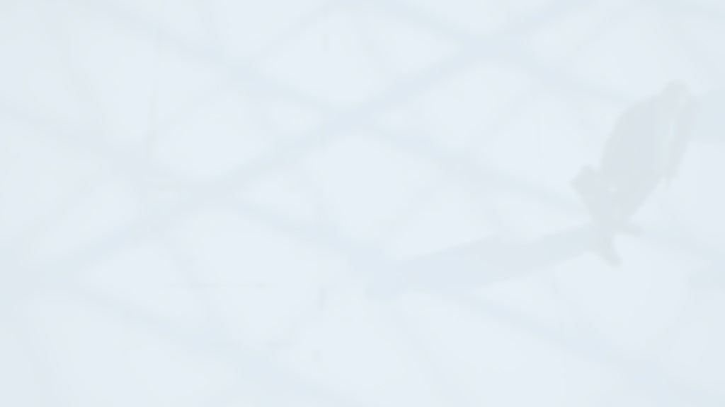 Emotional Intelligence