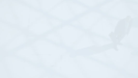 Emotional Intelligence