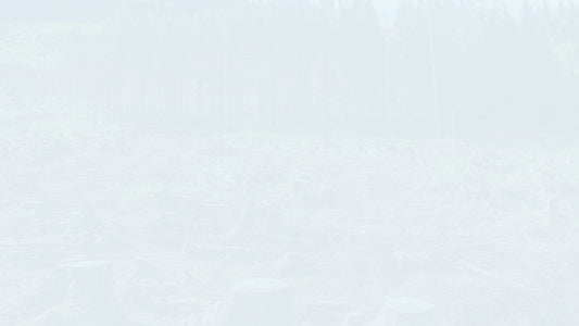 An Overview of Payment (Part 1) Employer's Obligation to Pay