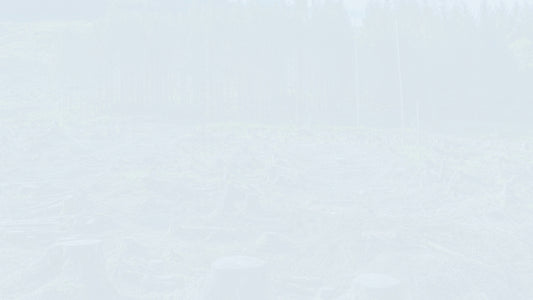 NEC4 TSC Payment Application and Certificate Template