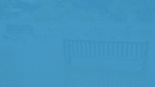 Fundamentals of Contract Management and Contract Liabilities